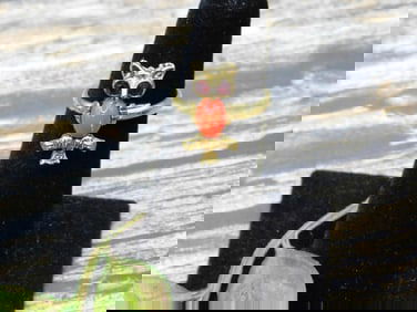 RING ROCK STONE LAPIDARY SPECIMEN