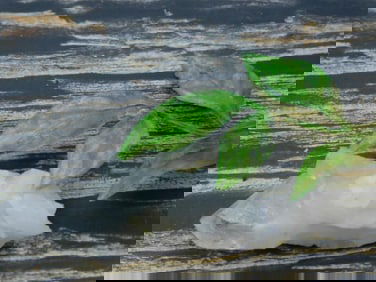 QUARTZ ROCK STONE LAPIDARY SPECIMEN