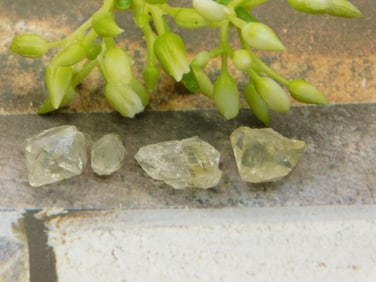 HERKIMER DIAMOND ROCK STONE LAPIDARY SPECIMEN