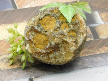 ROCK STONE LAPIDARY SPECIMEN