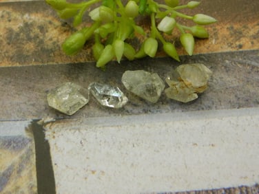 HERKIMER DIAMOND ROCK STONE LAPIDARY SPECIMEN