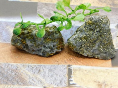 ROCK STONE LAPIDARY SPECIMEN