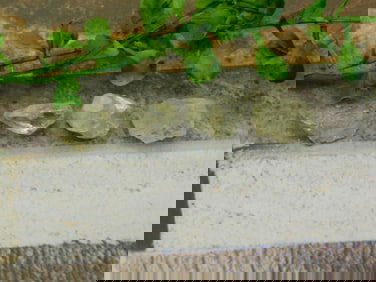 HERKIMER DIAMOND ROCK STONE LAPIDARY SPECIMEN