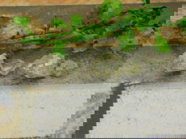 HERKIMER DIAMOND ROCK STONE LAPIDARY SPECIMEN