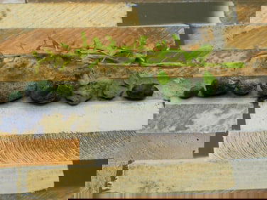 NORTH DAKOTA NEEDLE PEAK AGATE ROCK STONE LAPIDARY SPECIMEN