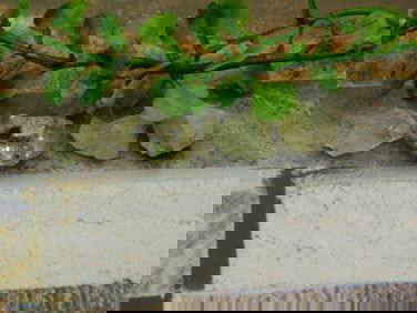 HERKIMER DIAMOND ROCK STONE LAPIDARY SPECIMEN