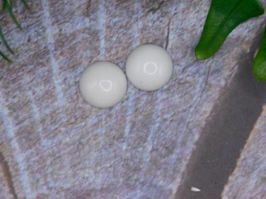 JEWELRY SALE! ROCK STONE LAPIDARY SPECIMEN