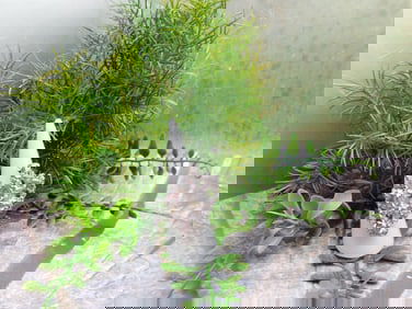 JEWELRY SALE! ROCK STONE LAPIDARY SPECIMEN