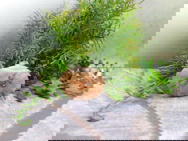 JEWELRY SALE! ROCK STONE LAPIDARY SPECIMEN