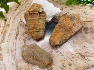 JEWELRY SALE! ROCK STONE LAPIDARY SPECIMEN