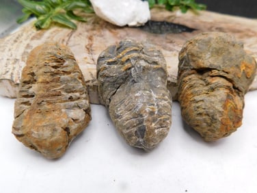 JEWELRY SALE! ROCK STONE LAPIDARY SPECIMEN