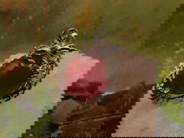 JEWELRY SALE! ROCK STONE LAPIDARY SPECIMEN