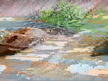 JEWELRY SALE! ROCK STONE LAPIDARY SPECIMEN