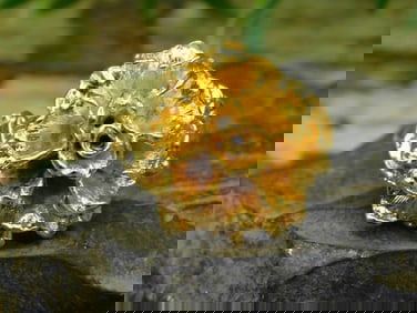 JEWELRY SALE! ROCK STONE LAPIDARY SPECIMEN