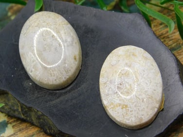 JEWELRY SALE! ROCK STONE LAPIDARY SPECIMEN