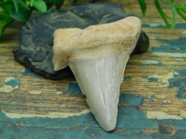 JEWELRY SALE! ROCK STONE LAPIDARY SPECIMEN