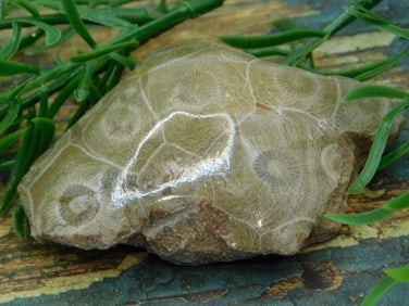 JEWELRY SALE! ROCK STONE LAPIDARY SPECIMEN