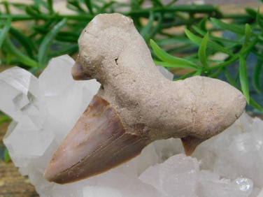 JEWELRY SALE! ROCK STONE LAPIDARY SPECIMEN