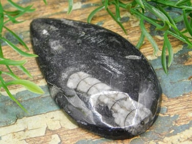 JEWELRY SALE! ROCK STONE LAPIDARY SPECIMEN