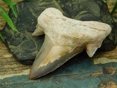 JEWELRY SALE! ROCK STONE LAPIDARY SPECIMEN