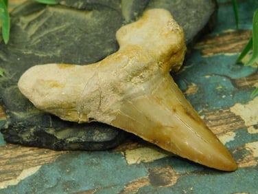 JEWELRY SALE! ROCK STONE LAPIDARY SPECIMEN