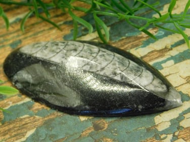 JEWELRY SALE! ROCK STONE LAPIDARY SPECIMEN