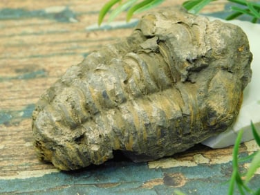 JEWELRY SALE! ROCK STONE LAPIDARY SPECIMEN