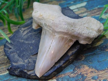 JEWELRY SALE! ROCK STONE LAPIDARY SPECIMEN