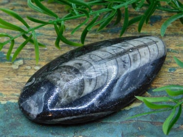 JEWELRY SALE! ROCK STONE LAPIDARY SPECIMEN