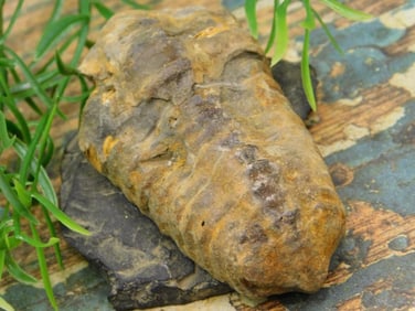 JEWELRY SALE! ROCK STONE LAPIDARY SPECIMEN