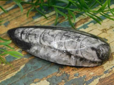 JEWELRY SALE! ROCK STONE LAPIDARY SPECIMEN