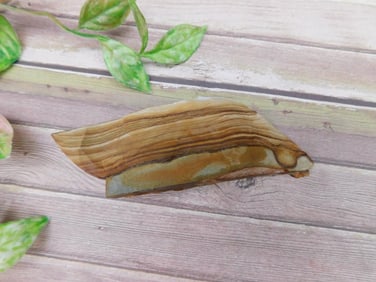 Polished JASPER Agate Specimen for Display