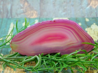 AGATE SLICE ROCK STONE LAPIDARY SPECIMEN