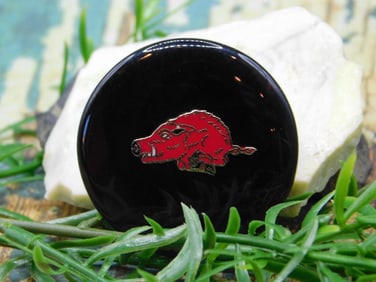 RAZORBACK CABOCHON ROCK STONE LAPIDARY SPECIMEN