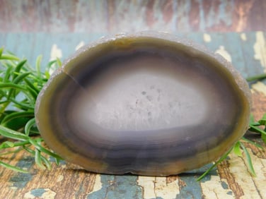 AGATE SLICE ROCK STONE LAPIDARY SPECIMEN