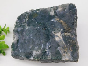 MOSS PLUME ROCK STONE LAPIDARY SPECIMEN