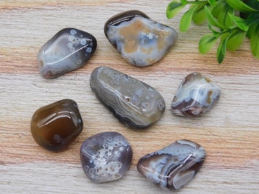 ROCK STONE LAPIDARY SPECIMEN