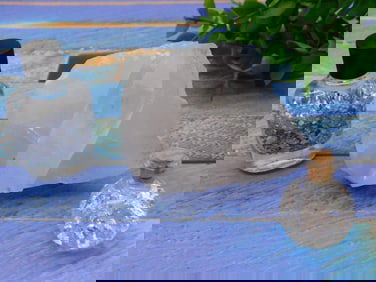 MIXED LOT ROCK STONE LAPIDARY SPECIMEN