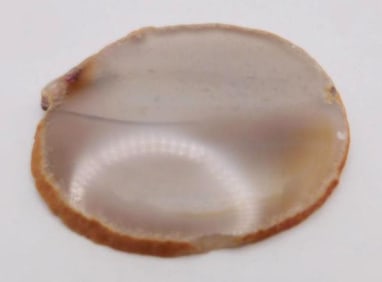 AGATE SLICE ROCK STONE LAPIDARY SPECIMEN