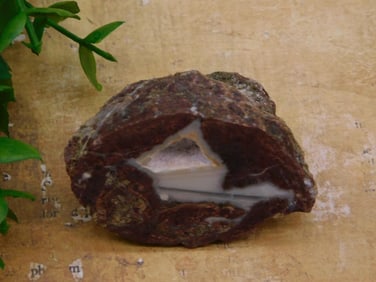 THUNDER EGG GEODE ROCK STONE LAPIDARY SPECIMEN