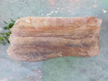 JASPER SLAB ROCK STONE LAPIDARY SPECIMEN