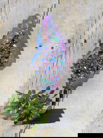 TITANIUM AMETHYST DISPLAY ROCK STONE LAPIDARY SPECIMEN