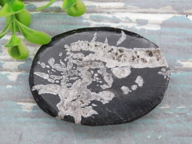 CHRYSANTHEMUM ROCK STONE LAPIDARY SPECIMEN