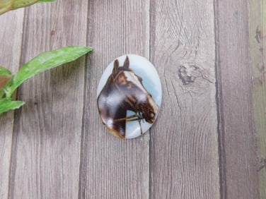 Oval Porcelain Horse Design Cabochon