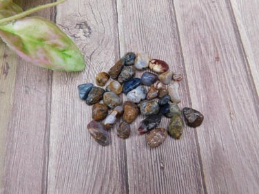 Collection of Assorted Small Polished Stones, 12 Grams