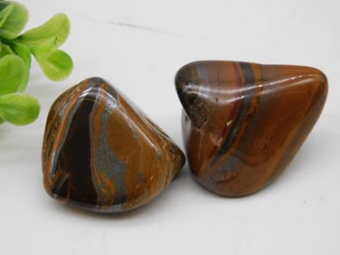 Two Polished Tiger Iron Stone Specimens Rock Stone Lapidary Specimen