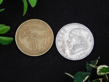 Two Coins: Guatemala Quetzal and Mexican Peso