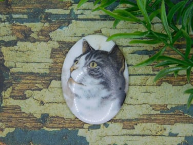 CAT CABOCHON ROCK STONE LAPIDARY SPECIMEN