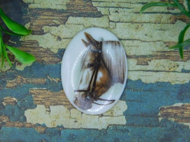 HORSE CABOCHON ROCK STONE LAPIDARY SPECIMEN