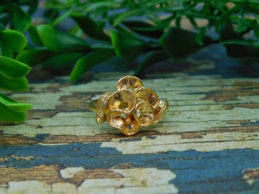 RING ROCK STONE LAPIDARY SPECIMEN